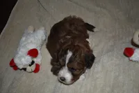 processed/a1ce10fe-7cfd-48d6-b2e8-76306c801c39/listing/9fb2239d-5c76-43ab-902e-4f1651c14c92/b339a034-f702-45f0-9921-0c4c2eef4a5b