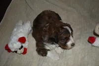 processed/a1ce10fe-7cfd-48d6-b2e8-76306c801c39/listing/9fb2239d-5c76-43ab-902e-4f1651c14c92/cdafe963-da4f-4f38-a2d7-7dd2f3e48633