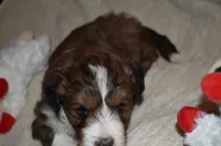 processed/a1ce10fe-7cfd-48d6-b2e8-76306c801c39/listing/9fb2239d-5c76-43ab-902e-4f1651c14c92/f6a673d6-1fb7-4a52-bbd0-acf6a4154109