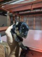 processed/a1d2329c-2cee-4589-91e7-a49f16cdb6d1/listing/effe263a-87a9-473e-b56d-3d6fccfa1d33/3a6ab5a6-1a23-4647-9566-034624902b1d