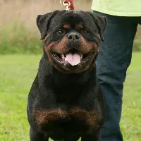 processed/a1d2329c-2cee-4589-91e7-a49f16cdb6d1/listing/effe263a-87a9-473e-b56d-3d6fccfa1d33/ab51cf6d-c4ed-473a-a90f-d3e8c5842284