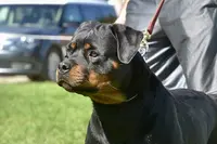 processed/a1d2329c-2cee-4589-91e7-a49f16cdb6d1/listing/effe263a-87a9-473e-b56d-3d6fccfa1d33/c0c84a60-cb27-421c-8d48-3252ed0e7f4f