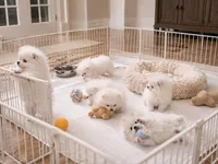 processed/a1d6f3ff-f372-40f7-8652-5d890cbd701e/facility/a7686cb6-3563-4bb0-bb3e-69fb89aef94f