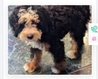 processed/a1d9b782-1fe8-48af-b7c2-85ea85d4dfc9/facility/4123d8fe-b3ee-4a10-b6fb-70216183e2f6