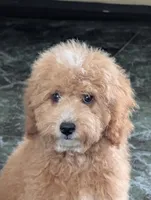 processed/a1d9b782-1fe8-48af-b7c2-85ea85d4dfc9/facility/43df7450-6501-4368-a9af-be95cbf7eca1