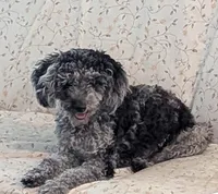 processed/a1d9b782-1fe8-48af-b7c2-85ea85d4dfc9/facility/5884d7fb-fcec-4848-a6b3-60aaeccd68ef