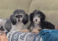 processed/a1d9b782-1fe8-48af-b7c2-85ea85d4dfc9/facility/b19760a6-d739-459e-b14b-3a09ab1fed5b