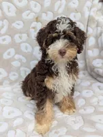 processed/a1d9b782-1fe8-48af-b7c2-85ea85d4dfc9/facility/b3c0da22-d062-48ab-b126-079380b044b7