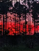 processed/a1d9b782-1fe8-48af-b7c2-85ea85d4dfc9/facility/ea0e223b-b6e0-4ab4-97af-719a5f52cb67