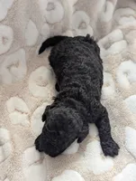 processed/a1d9b782-1fe8-48af-b7c2-85ea85d4dfc9/listing/6f5ae53e-7120-48ba-85bd-0af6083cdbbc/17de41d2-ffd3-4090-b3cb-2d88936c4f7f