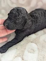 processed/a1d9b782-1fe8-48af-b7c2-85ea85d4dfc9/listing/6f5ae53e-7120-48ba-85bd-0af6083cdbbc/431745f8-79c2-458c-a5f2-b703806add14