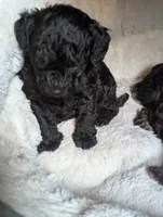 processed/a1d9b782-1fe8-48af-b7c2-85ea85d4dfc9/listing/6f5ae53e-7120-48ba-85bd-0af6083cdbbc/6b429ef8-fc06-43f6-848d-2ab291004d09