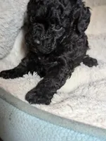 processed/a1d9b782-1fe8-48af-b7c2-85ea85d4dfc9/listing/6f5ae53e-7120-48ba-85bd-0af6083cdbbc/b81fb9ef-f113-4697-9359-91827ca0711b