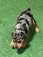 processed/a1dddc33-3887-4e7b-af0b-b6e2f56881aa/listing/04550678-4ab4-46c4-be08-0c8fecada735/0978eab6-503a-43d9-bb8b-2bf2fd2a7815