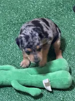 processed/a1dddc33-3887-4e7b-af0b-b6e2f56881aa/listing/04550678-4ab4-46c4-be08-0c8fecada735/10ea9db3-75f4-4831-bd8d-698d7fd4e6ad