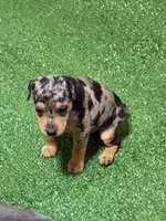 processed/a1dddc33-3887-4e7b-af0b-b6e2f56881aa/listing/04550678-4ab4-46c4-be08-0c8fecada735/365a2623-0d8a-45a2-9ee1-841367250b7f