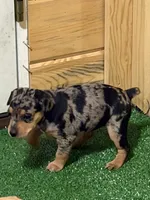 processed/a1dddc33-3887-4e7b-af0b-b6e2f56881aa/listing/04550678-4ab4-46c4-be08-0c8fecada735/85acf1b2-cb4f-42b6-a3ea-9be3aecc6a0d