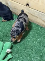 processed/a1dddc33-3887-4e7b-af0b-b6e2f56881aa/listing/04550678-4ab4-46c4-be08-0c8fecada735/b09f88ad-754b-4de6-8d9a-2486c13eeb69