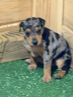 processed/a1dddc33-3887-4e7b-af0b-b6e2f56881aa/listing/04550678-4ab4-46c4-be08-0c8fecada735/eeb003a4-8cc6-47ef-9aab-67f0d4915114