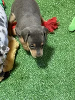 processed/a1dddc33-3887-4e7b-af0b-b6e2f56881aa/listing/0657aa18-e7b3-4cad-99f2-424a8bfae527/0964fb25-c8da-457c-bf0c-9514bf14d541