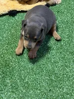 processed/a1dddc33-3887-4e7b-af0b-b6e2f56881aa/listing/0657aa18-e7b3-4cad-99f2-424a8bfae527/7ea1e0ad-d3d7-46e0-99c7-641ab235b15f