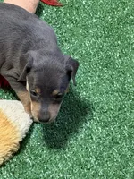 processed/a1dddc33-3887-4e7b-af0b-b6e2f56881aa/listing/0657aa18-e7b3-4cad-99f2-424a8bfae527/c6319640-d2ff-4768-83e2-27d49fb1e103