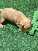 processed/a1dddc33-3887-4e7b-af0b-b6e2f56881aa/listing/2222ae47-93a0-4ff9-a5ac-dd6a2101e423/357c7140-fe2e-4582-840f-ab341df842d8