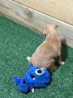 processed/a1dddc33-3887-4e7b-af0b-b6e2f56881aa/listing/2222ae47-93a0-4ff9-a5ac-dd6a2101e423/39f09b5d-2982-406e-a6c8-30cf507cef81