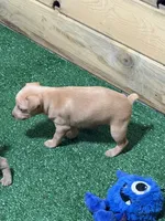 processed/a1dddc33-3887-4e7b-af0b-b6e2f56881aa/listing/2222ae47-93a0-4ff9-a5ac-dd6a2101e423/6c67f3cc-be73-4f9f-9334-6cbe8a992553