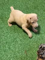 processed/a1dddc33-3887-4e7b-af0b-b6e2f56881aa/listing/2222ae47-93a0-4ff9-a5ac-dd6a2101e423/7f6a7557-ddac-4bfd-87e6-fd723ca62eff