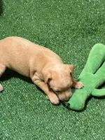 processed/a1dddc33-3887-4e7b-af0b-b6e2f56881aa/listing/2222ae47-93a0-4ff9-a5ac-dd6a2101e423/af5577a0-9360-4270-b6b8-71741360840f