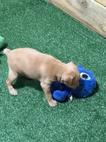 processed/a1dddc33-3887-4e7b-af0b-b6e2f56881aa/listing/2222ae47-93a0-4ff9-a5ac-dd6a2101e423/dab362eb-3a0d-4ac2-97a8-5f793833f189