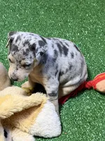 processed/a1dddc33-3887-4e7b-af0b-b6e2f56881aa/listing/8cfec15a-35ed-42ce-b553-a9093acba499/0ee5a2e4-5e82-45bb-a99a-4d60dea8ba3e