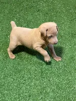 processed/a1dddc33-3887-4e7b-af0b-b6e2f56881aa/listing/e01cd8f3-e49f-4353-94a0-109aa70eeb33/2d12d5b2-e46b-40ec-9ee8-ade8d0de0ff2