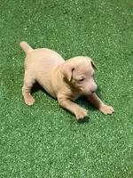 processed/a1dddc33-3887-4e7b-af0b-b6e2f56881aa/listing/e01cd8f3-e49f-4353-94a0-109aa70eeb33/8a4317cd-20f5-4e91-8bf6-eec77f391795