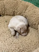 processed/a1dddc33-3887-4e7b-af0b-b6e2f56881aa/listing/e01cd8f3-e49f-4353-94a0-109aa70eeb33/f388458f-3dc9-4a4a-804e-f3a936106df6