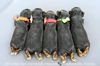 processed/a1f4ee9b-8eec-4917-904c-1e32d634cd42/facility/1a565955-1e53-438e-a162-46c9227d8482