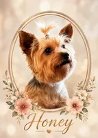 Girl B, a female Yorkshire Terrier for sale in Tallahassee, FL – 7 of 8