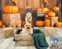 Bluebelle, a female Yorkshire Terrier for sale in Tallahassee, FL – Photo 4 of 8