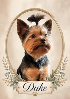 Girl B, a female Yorkshire Terrier for sale in Tallahassee, FL – 6 of 8