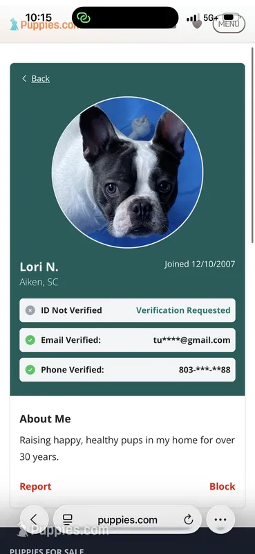 Lori Aiken sc – French Bulldog puppy for sale in Clarksville, TN