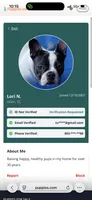 Lori Aiken sc, a female French Bulldog for sale in Clarksville, TN – 1 of 4