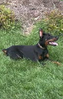 processed/a1fb9dff-6953-4579-956e-689a94e8db12/listing/8ab14388-39ac-4b71-ac1e-f4cc8cbf6a41/0fb787ba-bf4d-4fd3-b231-0097f7c74195