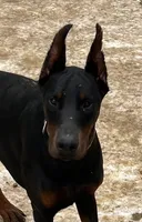 processed/a1fb9dff-6953-4579-956e-689a94e8db12/listing/8ab14388-39ac-4b71-ac1e-f4cc8cbf6a41/d848892b-3348-4ad6-8a3b-0272cd772f94