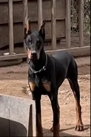 processed/a1fb9dff-6953-4579-956e-689a94e8db12/listing/c7b05532-fc32-41d5-b4bc-7f25b4d00cba/3778a483-2544-48b7-bbb1-da93240f5159