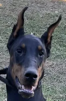 processed/a1fb9dff-6953-4579-956e-689a94e8db12/listing/c7b05532-fc32-41d5-b4bc-7f25b4d00cba/6acbae08-f33c-4b57-b90e-cca3388f242c