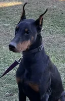 processed/a1fb9dff-6953-4579-956e-689a94e8db12/listing/c7b05532-fc32-41d5-b4bc-7f25b4d00cba/9c7309ac-9151-439e-b0b7-9f743ff1e191