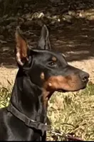 processed/a1fb9dff-6953-4579-956e-689a94e8db12/listing/c7b05532-fc32-41d5-b4bc-7f25b4d00cba/f1296d61-930b-4d41-8ce2-da12660fe119