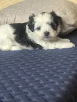 processed/a21252e1-f073-429a-9c49-c2d27a2d9608/listing/88292e1b-54b7-424d-b5b1-db5276c95810/d24b20a0-0b15-432c-a965-97766ec0e5b9