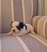 processed/a21252e1-f073-429a-9c49-c2d27a2d9608/listing/88292e1b-54b7-424d-b5b1-db5276c95810/e4d3fbf8-71cb-416e-94e8-125fb1d1c14b